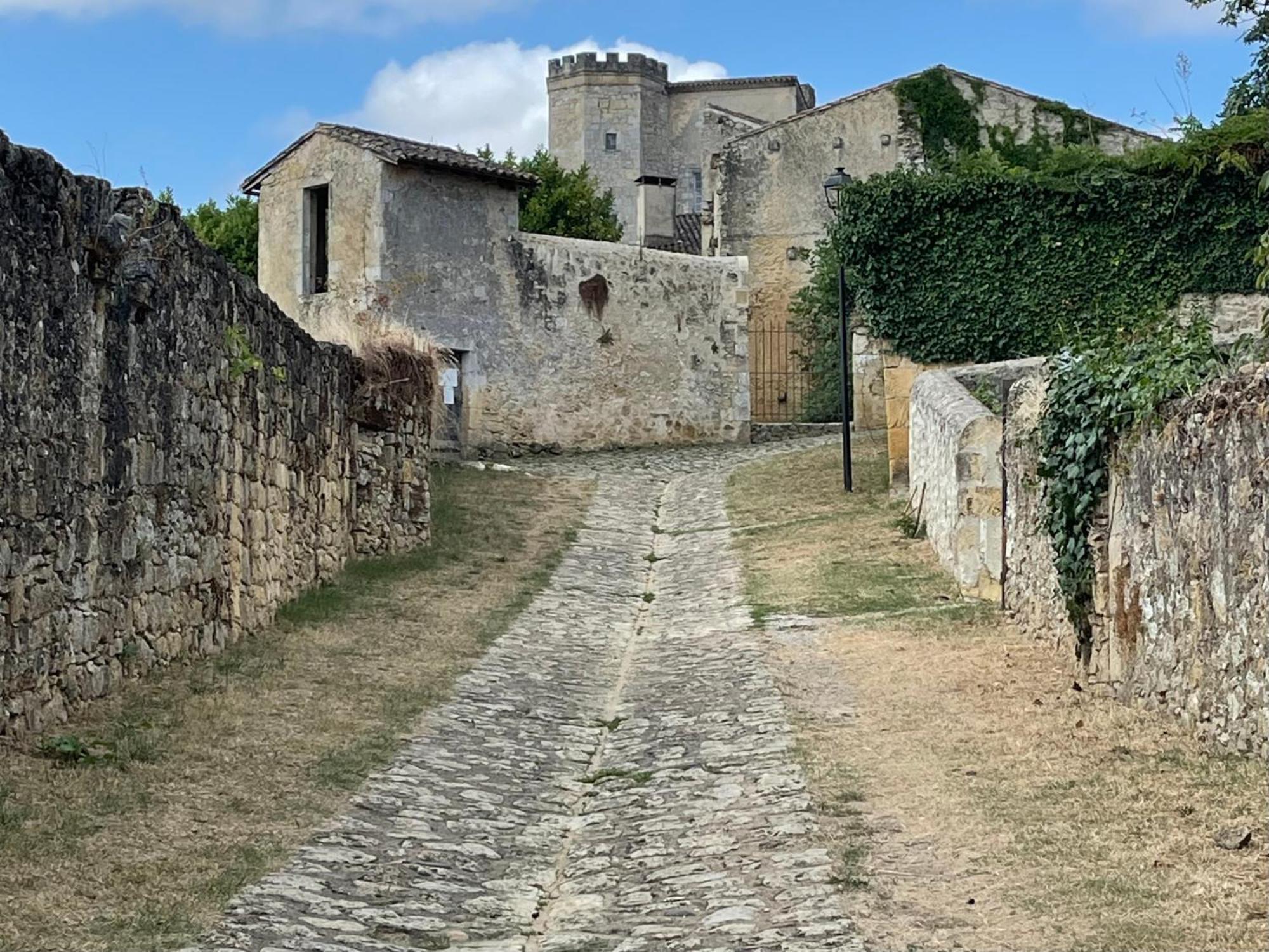 House In A Medieval Village Saint-Macaire Luaran gambar